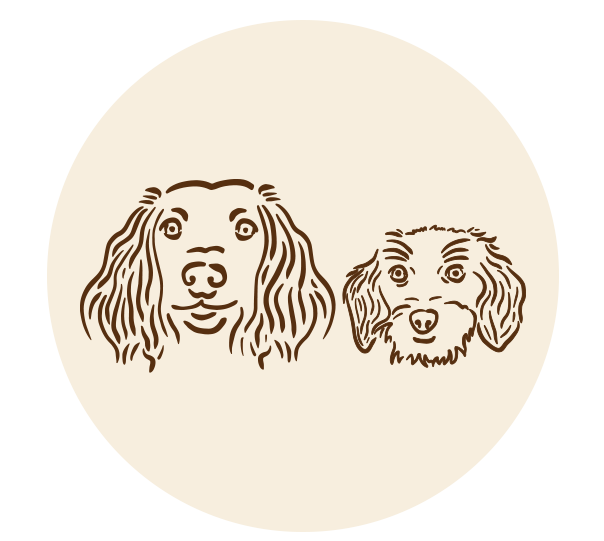 hitschies petschies Logo von den beiden Hunden Emma und Lotta in braun auf beigem Hintergrund 